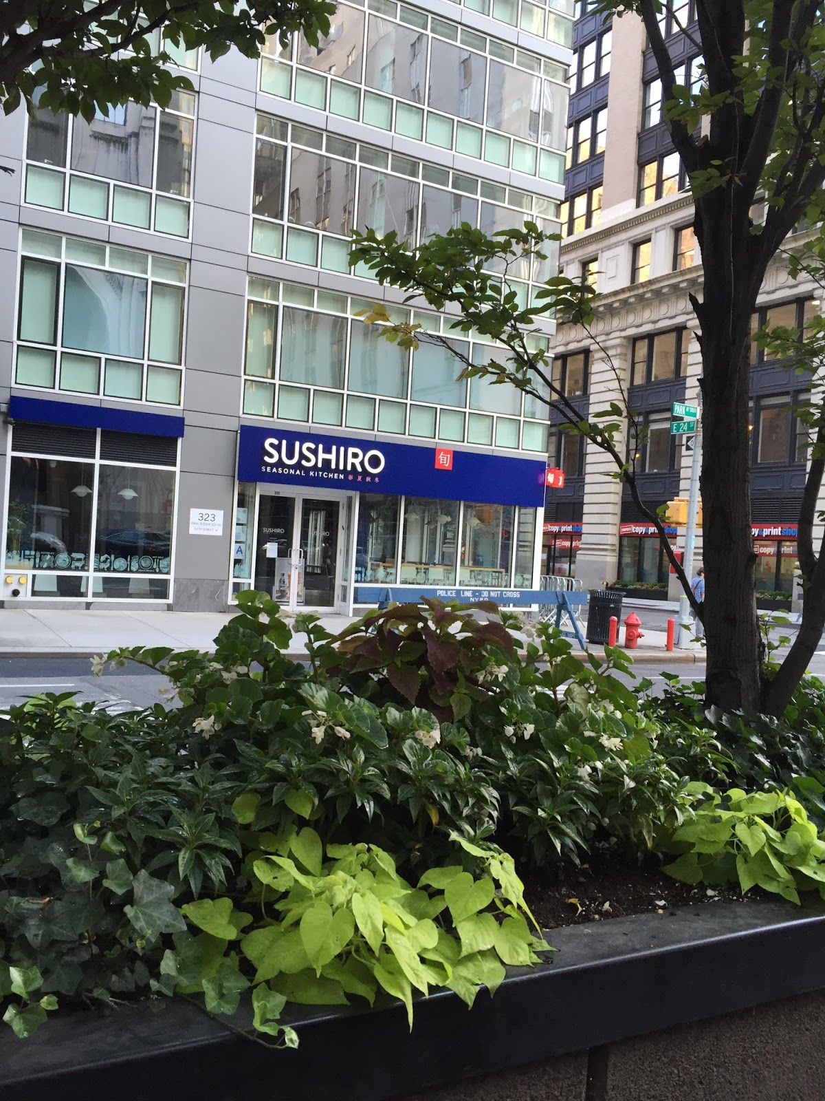 Photo of Sushiro Seasonal Kitchen in New York City, New York, United States - 2 Picture of Restaurant, Food, Point of interest, Establishment