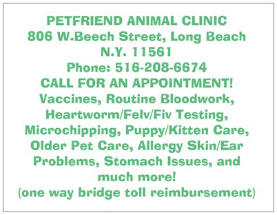 Photo of PetFriend Animal Clinic in Long Beach City, New York, United States - 3 Picture of Point of interest, Establishment, Veterinary care