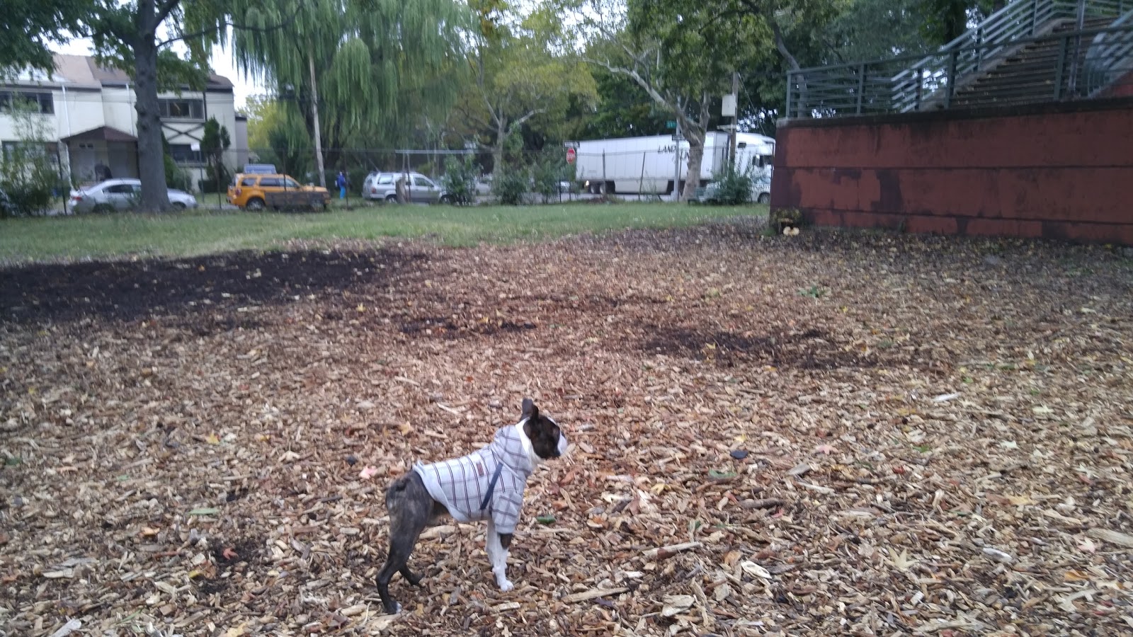 Photo of Underbridge Dog Run in Forest Hills City, New York, United States - 1 Picture of Point of interest, Establishment, Park