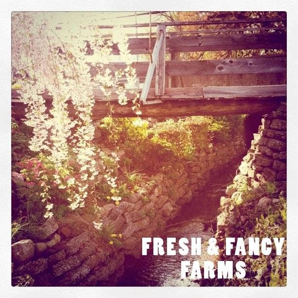 Photo of Fresh & Fancy Farms in New Milford City, New Jersey, United States - 10 Picture of Food, Point of interest, Establishment, Store, General contractor