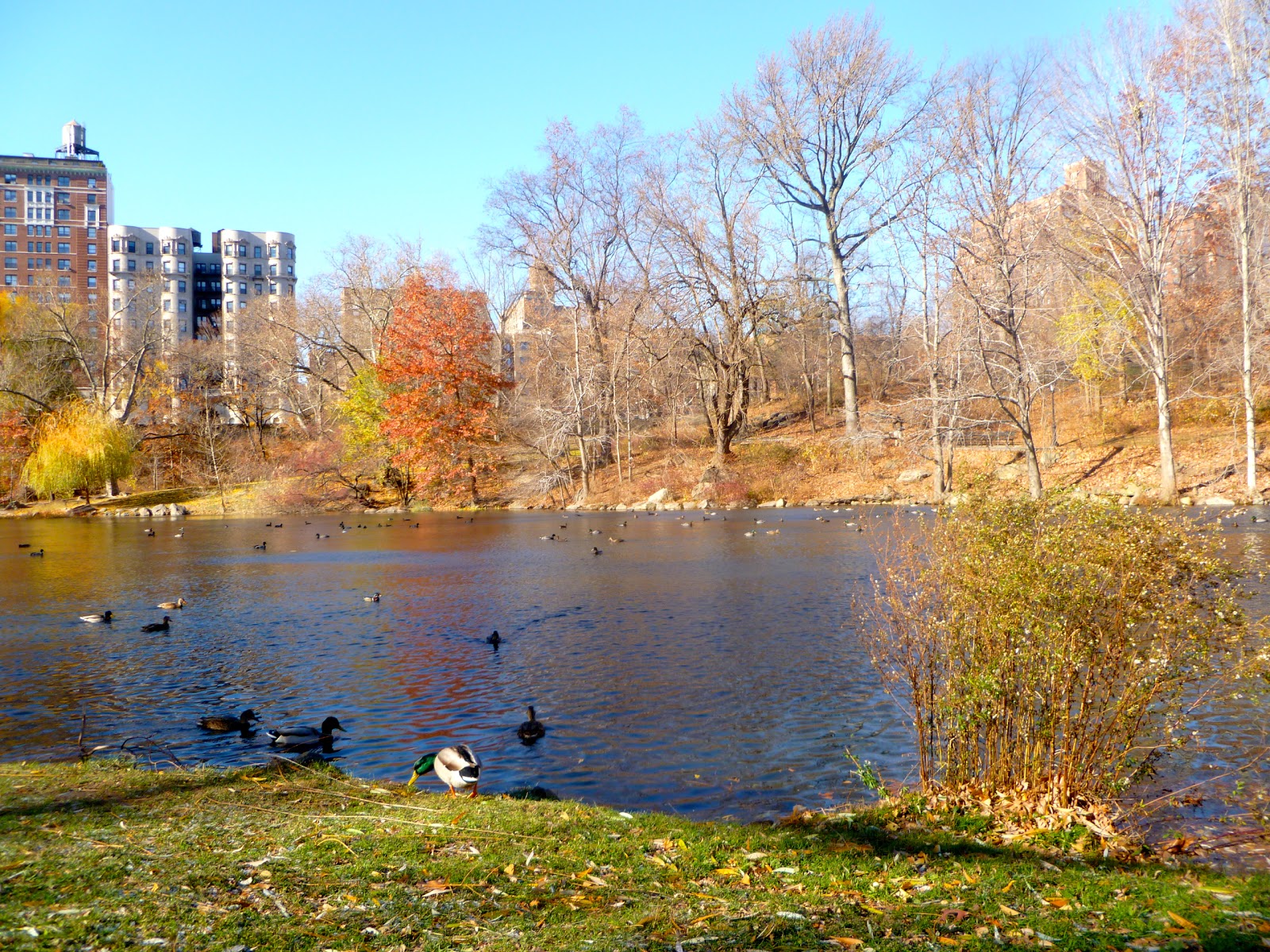 Photo of The Pool in New York City, New York, United States - 5 Picture of Point of interest, Establishment