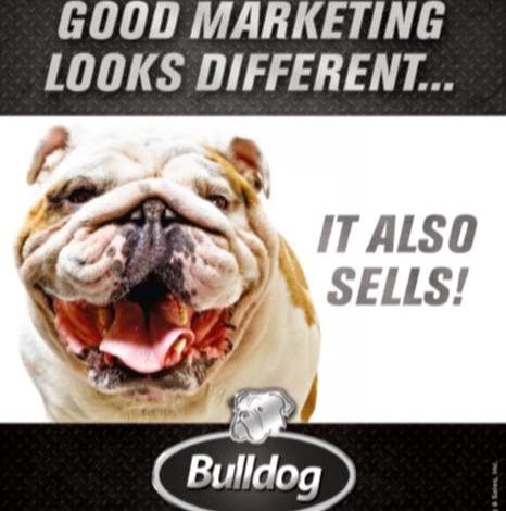 Photo of Bulldog Marketing & Sales, Inc. in Bronx City, New York, United States - 3 Picture of Point of interest, Establishment