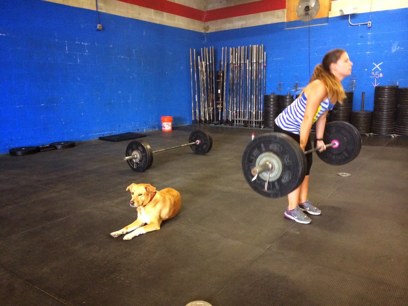 Photo of CrossFit King of Island Park in Island Park City, New York, United States - 8 Picture of Point of interest, Establishment, Health, Gym