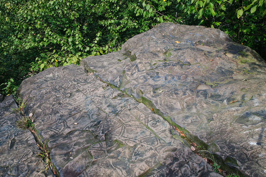 Photo of Turtle Back Rock Formations in West Orange City, New Jersey, United States - 1 Picture of Point of interest, Establishment