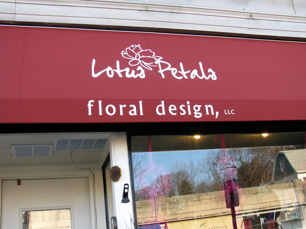 Photo of Lotus Petals Floral Design in Maplewood City, New Jersey, United States - 1 Picture of Point of interest, Establishment, Store, Florist