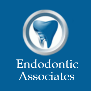 Photo of Endodontic Associates, PA/Dr. Sedell in Englewood City, New Jersey, United States - 7 Picture of Point of interest, Establishment, Health, Dentist