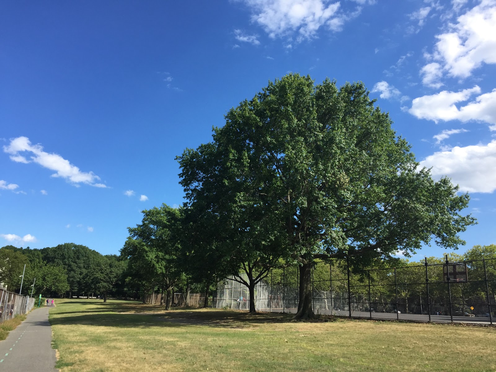 Photo of Alley Athletic Playground in Hollis City, New York, United States - 2 Picture of Point of interest, Establishment, Park