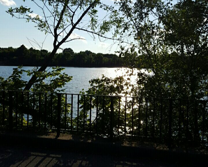 Photo of Silver Lake Park in Staten Island City, New York, United States - 2 Picture of Point of interest, Establishment, Park