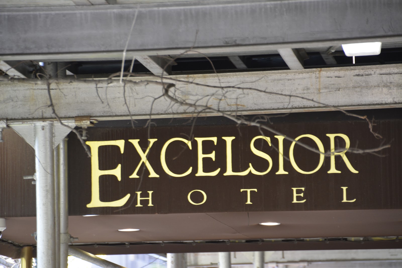 Photo of The Excelsior Hotel in New York City, New York, United States - 9 Picture of Point of interest, Establishment, Lodging