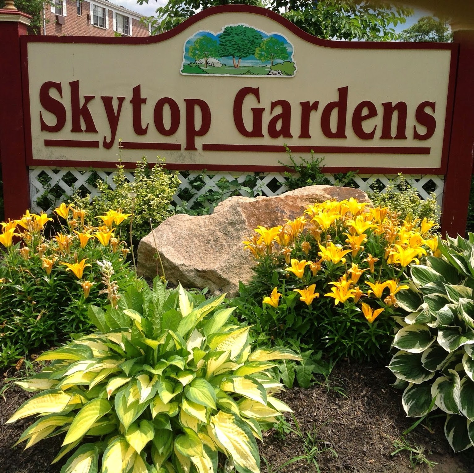 Photo of Skytop Gardens Apartments in Parlin City, New Jersey, United States - 2 Picture of Point of interest, Establishment, Real estate agency