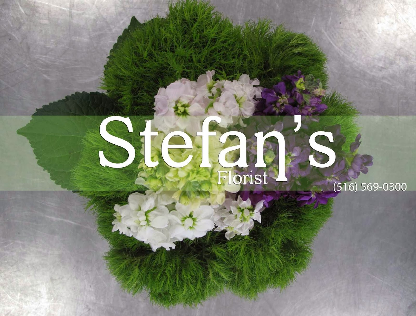 Photo of Stefans Florist in Lawrence City, New York, United States - 1 Picture of Point of interest, Establishment, Store, Florist