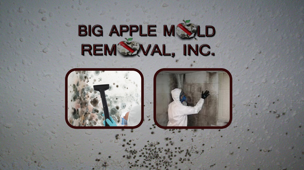Photo of Big Apple Mold Removal in Lawrence City, New York, United States - 3 Picture of Point of interest, Establishment, General contractor, Laundry