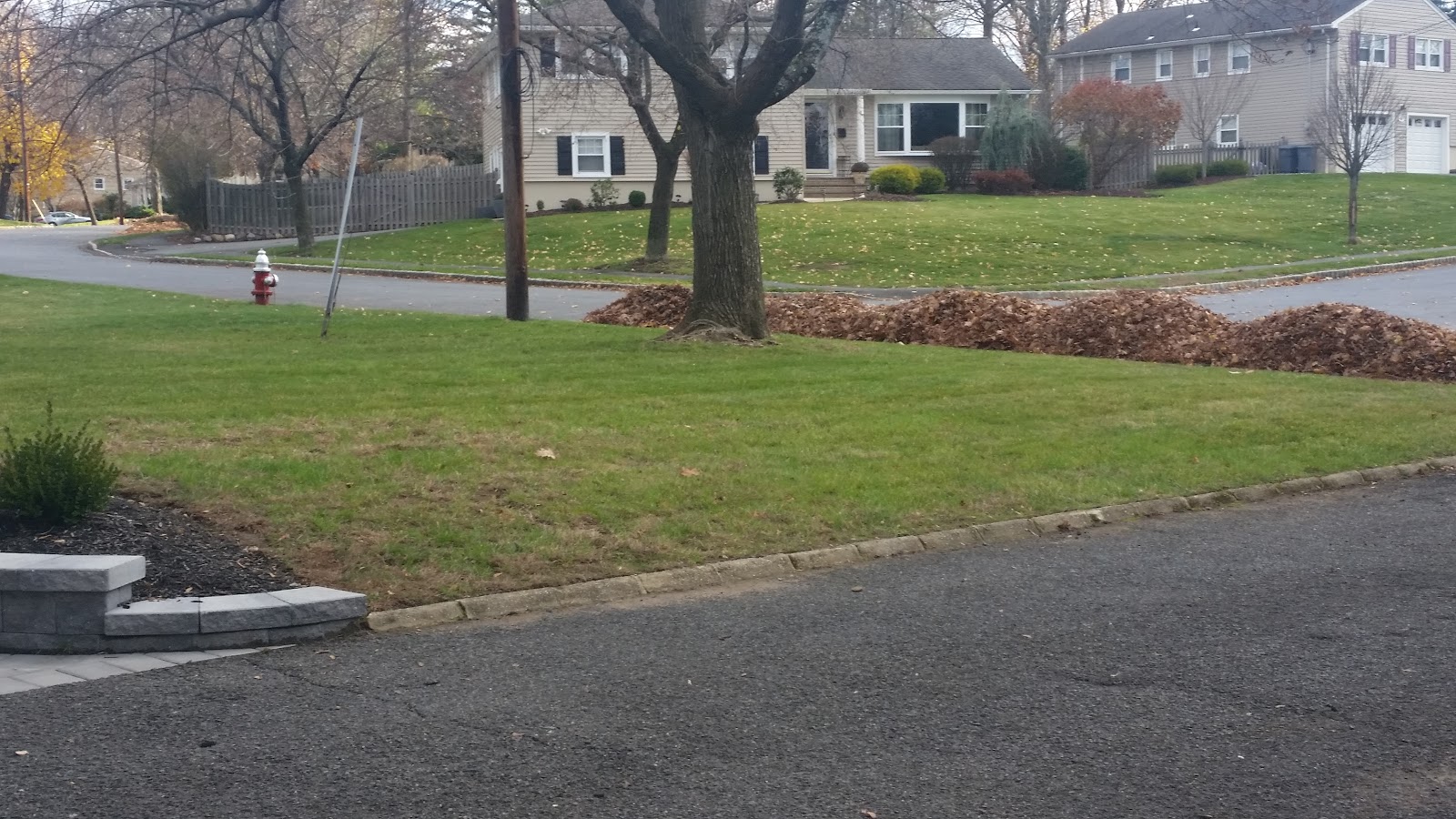 Photo of MurgasLandscaping LLC. in Newark City, New Jersey, United States - 6 Picture of Point of interest, Establishment