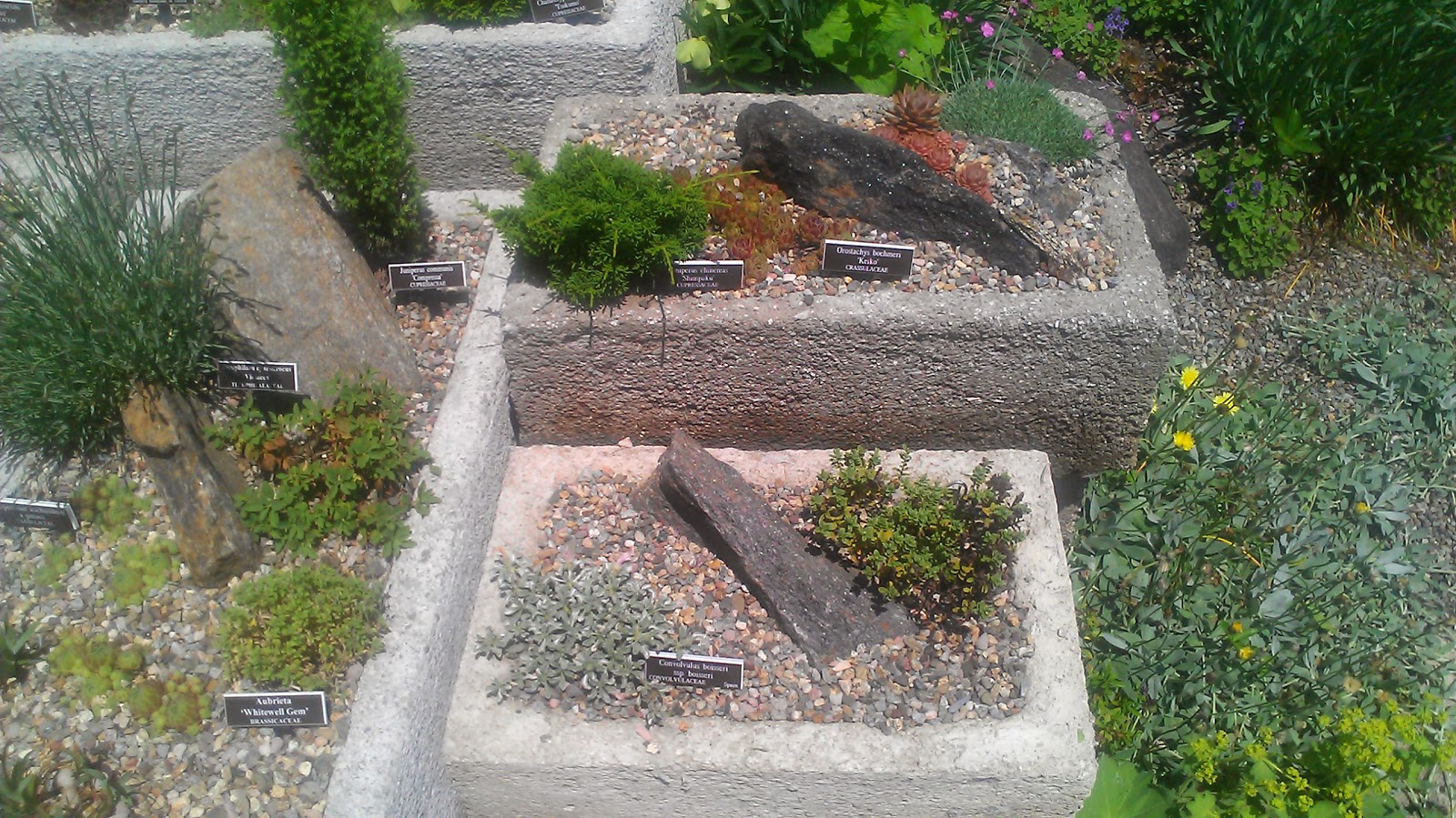 Photo of Rock Garden in Bronx City, New York, United States - 2 Picture of Point of interest, Establishment, Park