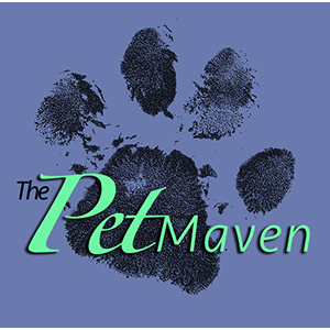 Photo of The Pet Maven LLC in New York City, New York, United States - 4 Picture of Point of interest, Establishment