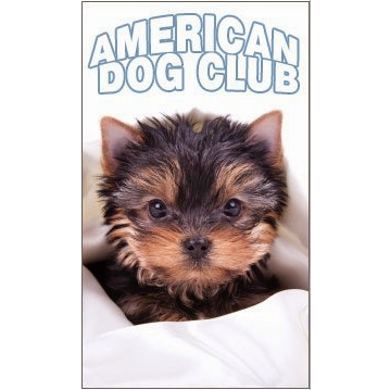 Photo of American Dog Club in Albertson City, New York, United States - 2 Picture of Point of interest, Establishment, Store, Pet store, Veterinary care