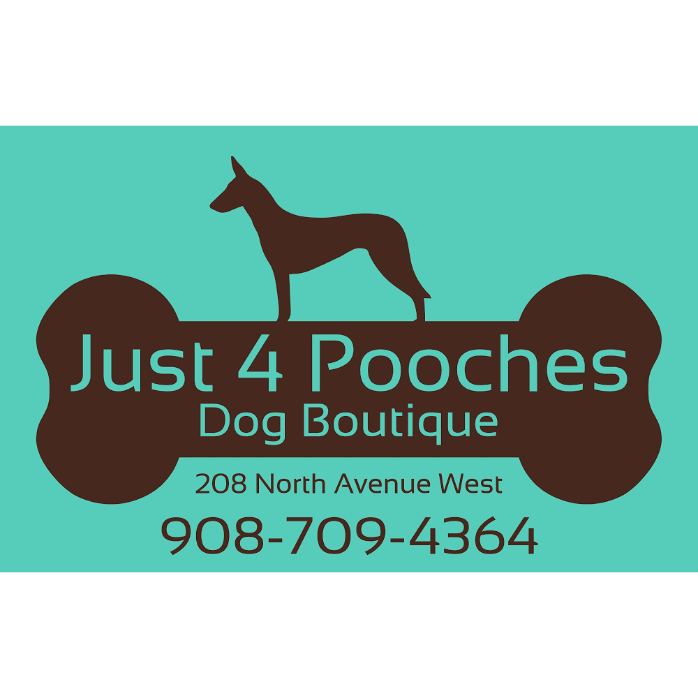 Photo of Just 4 Pooches Dog Boutique in Cranford City, New Jersey, United States - 5 Picture of Point of interest, Establishment, Store, Pet store