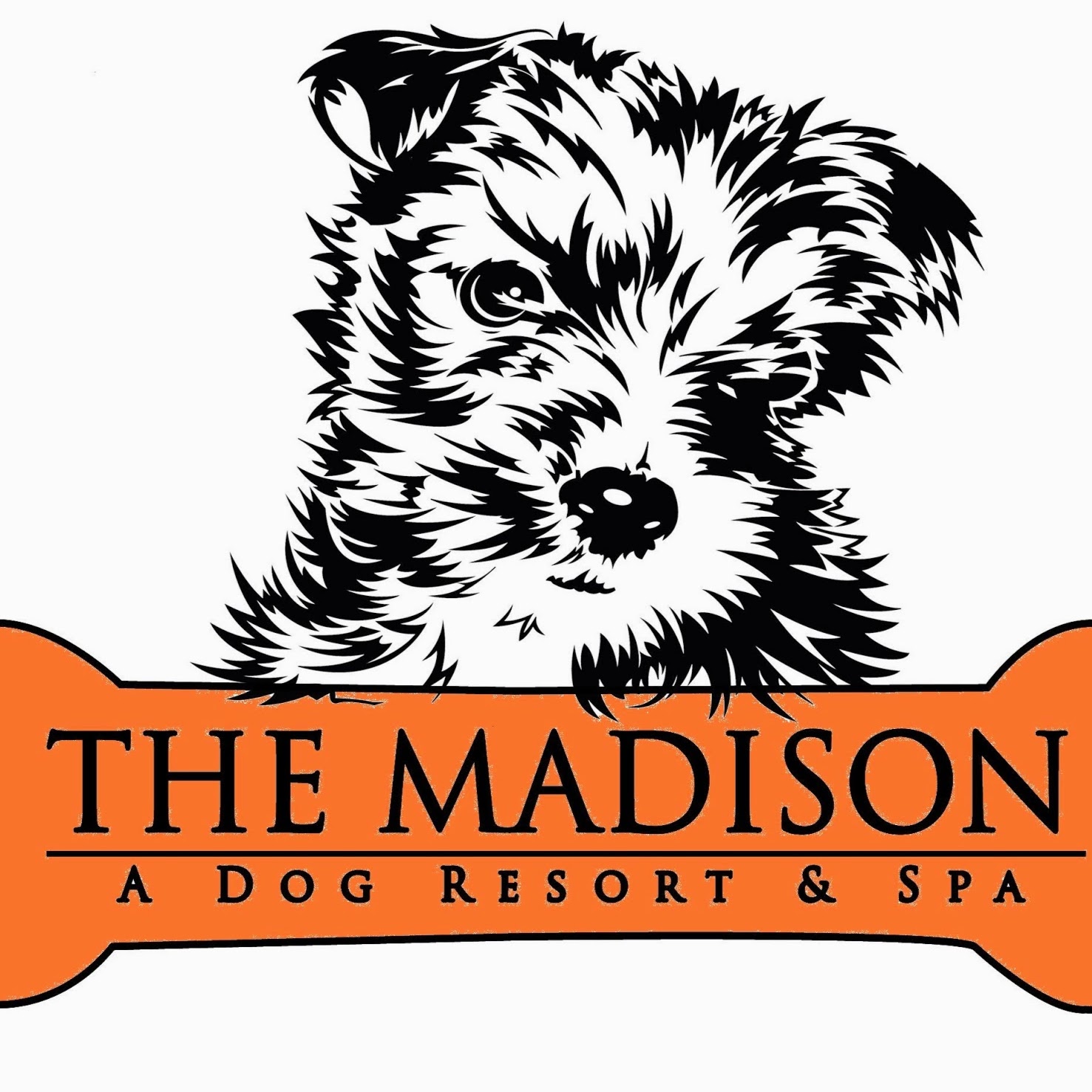Photo of The Madison Dog Resort & Spa in Wayne City, New Jersey, United States - 2 Picture of Point of interest, Establishment, Store, Pet store, Park