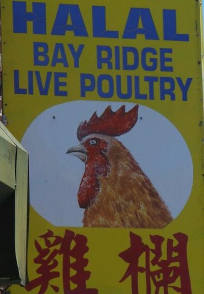 Photo of Saba Live Poultry in Kings County City, New York, United States - 3 Picture of Food, Point of interest, Establishment