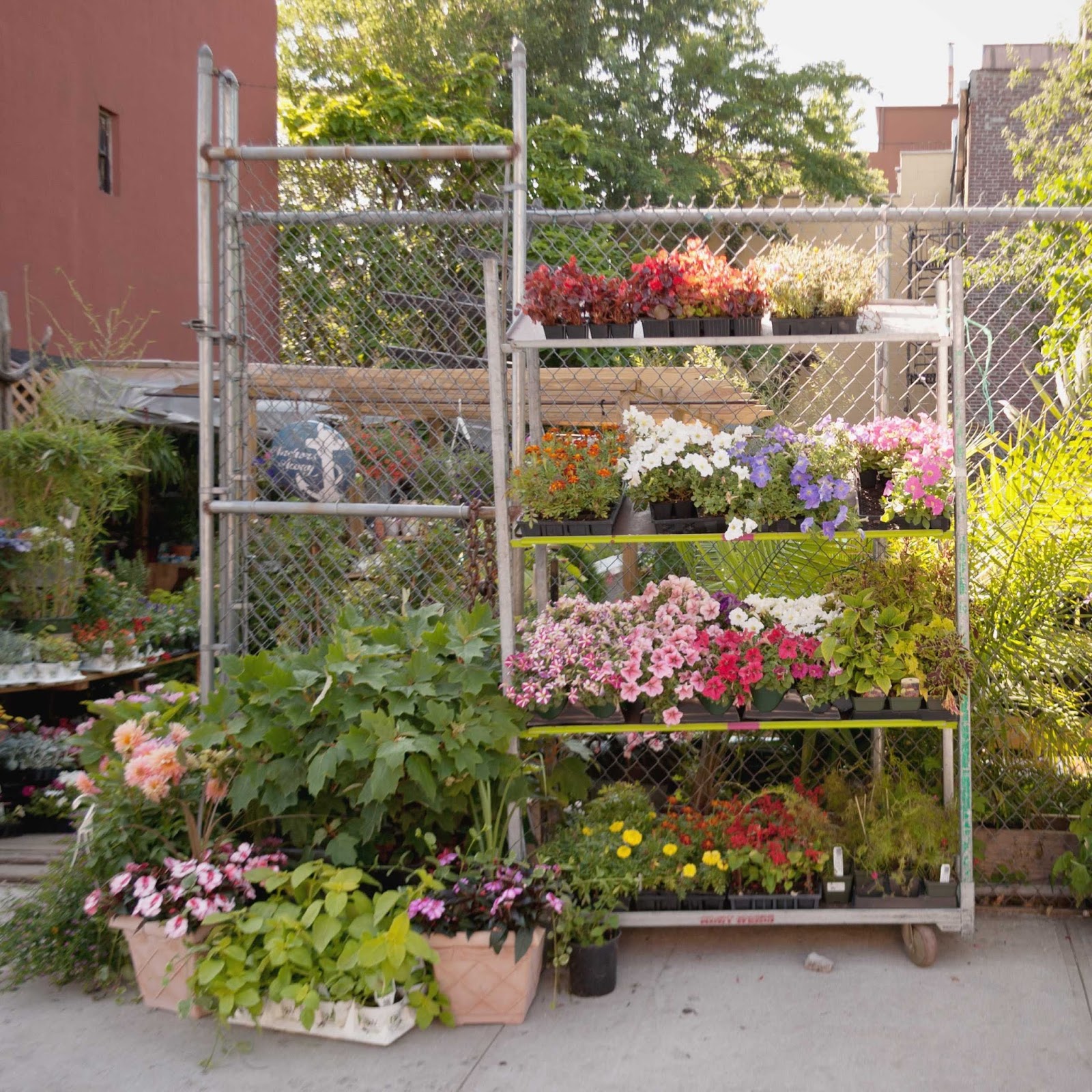 Photo of Red Hook Garden Center in Brooklyn City, New York, United States - 1 Picture of Point of interest, Establishment, Store, General contractor