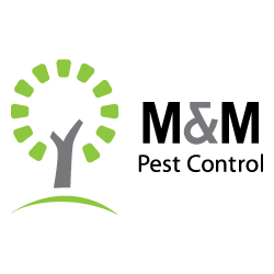 Photo of M&M Pest Control in New York City, New York, United States - 3 Picture of Point of interest, Establishment, Store, Home goods store