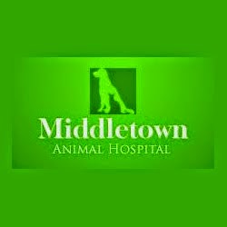 Photo of Middletown Animal Hospital in Middletown City, New Jersey, United States - 2 Picture of Point of interest, Establishment, Veterinary care