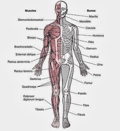 Photo of Queens Medical Rehab & Physical Therapy NY in Flushing City, New York, United States - 1 Picture of Point of interest, Establishment, Health, Doctor