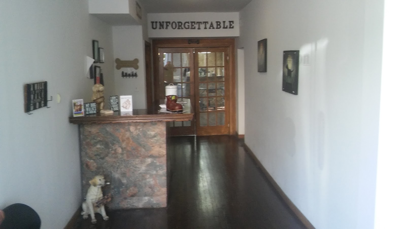 Photo of Unforgettable Pet Salon in New Rochelle City, New York, United States - 2 Picture of Point of interest, Establishment, Veterinary care