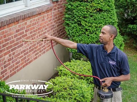 Photo of Parkway Pest Services in Great Neck City, New York, United States - 4 Picture of Point of interest, Establishment, Store, Home goods store