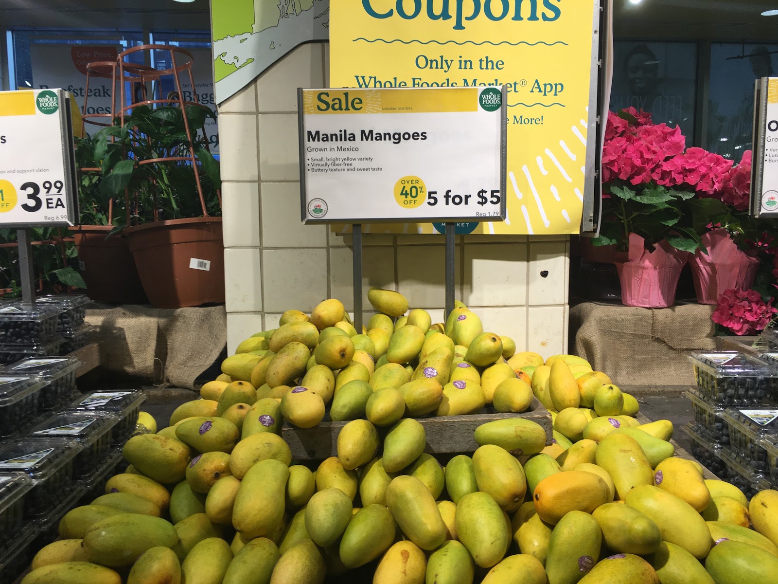 Photo of Whole Foods Market in New York City, New York, United States - 6 Picture of Food, Point of interest, Establishment, Store, Health, Grocery or supermarket, Bakery, Florist