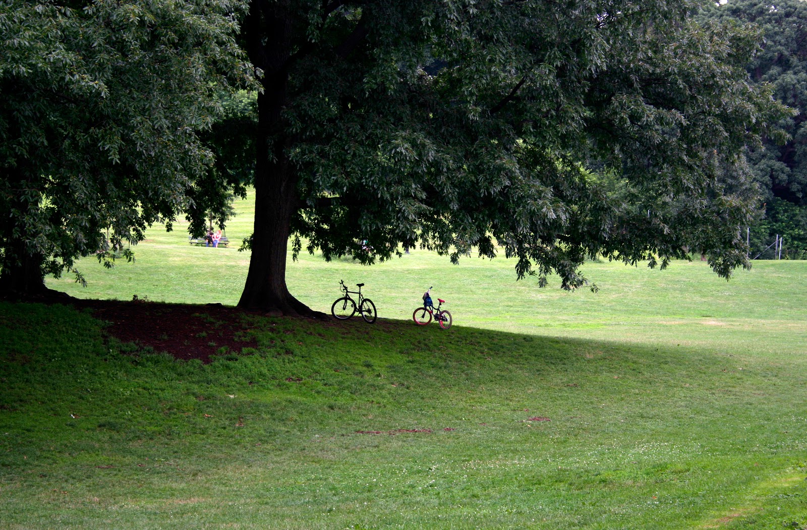 Photo of Resurrection Park Slope in Kings County City, New York, United States - 4 Picture of Point of interest, Establishment, Church, Place of worship