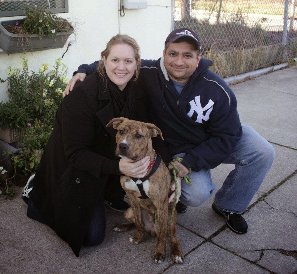 Photo of Liberty Humane Society in Jersey City, New Jersey, United States - 9 Picture of Point of interest, Establishment