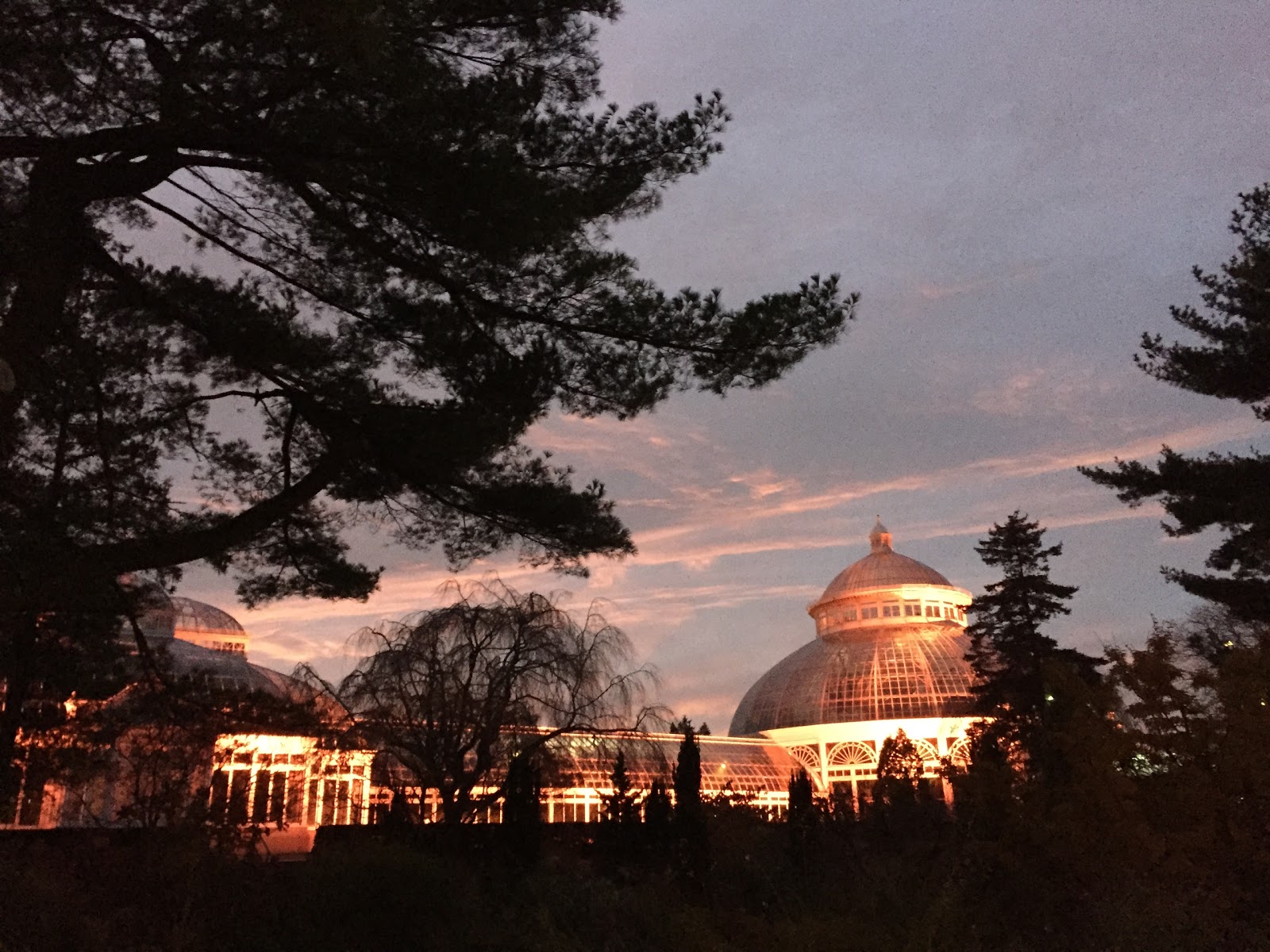 Photo of Irwin Perennial Garden in Bronx City, New York, United States - 4 Picture of Point of interest, Establishment, Park