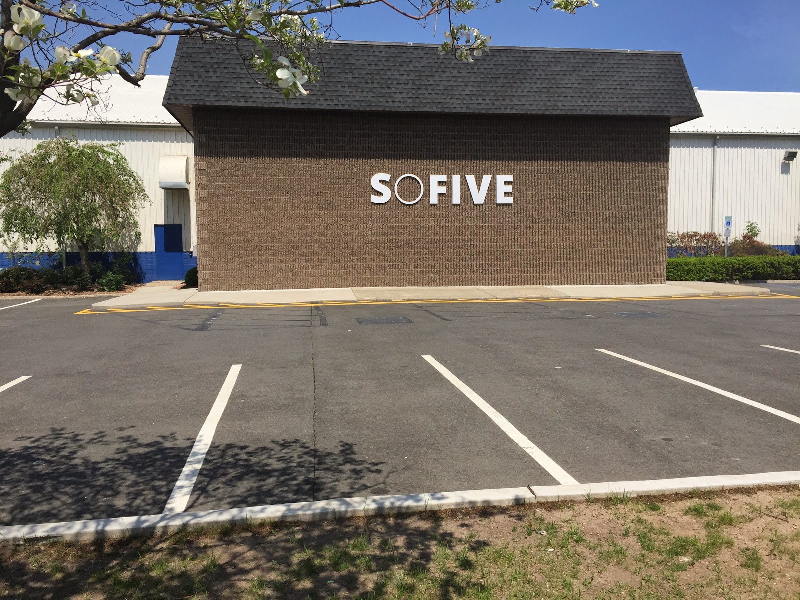 Photo of Sofive in Carlstadt City, New Jersey, United States - 2 Picture of Point of interest, Establishment