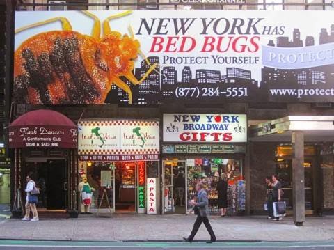 Photo of Brownstone Pest Control in West New York City, New Jersey, United States - 1 Picture of Point of interest, Establishment, Store, Home goods store