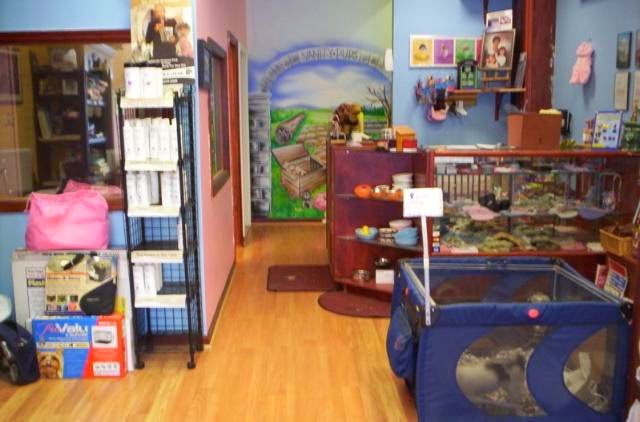 Photo of Vanity Pups Boutique in Bayside City, New York, United States - 2 Picture of Point of interest, Establishment, Store, Pet store