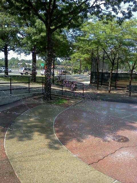 Photo of Colucci Playground in Bronx City, New York, United States - 1 Picture of Point of interest, Establishment, Park