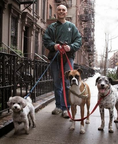 Photo of NY Loves Dogs/Susan Cava in New York City, New York, United States - 2 Picture of Food, Point of interest, Establishment, Meal delivery