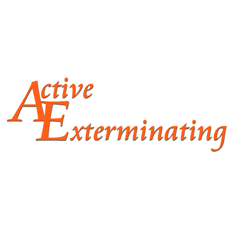 Photo of Active Exterminating Inc in Valley Stream City, New York, United States - 3 Picture of Point of interest, Establishment, Store, Home goods store