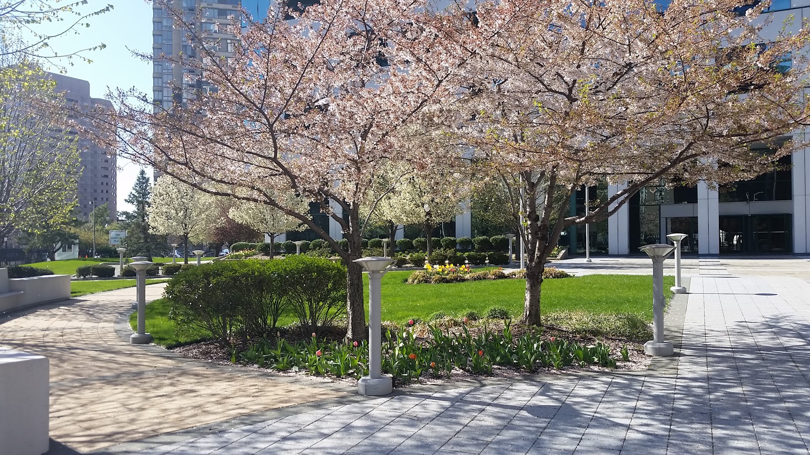 Photo of One Evertrust Plaza in Jersey City, New Jersey, United States - 4 Picture of Point of interest, Establishment, Finance