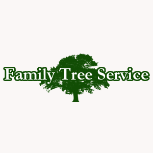 Photo of Family Tree Service inc. in Kings County City, New York, United States - 3 Picture of Point of interest, Establishment