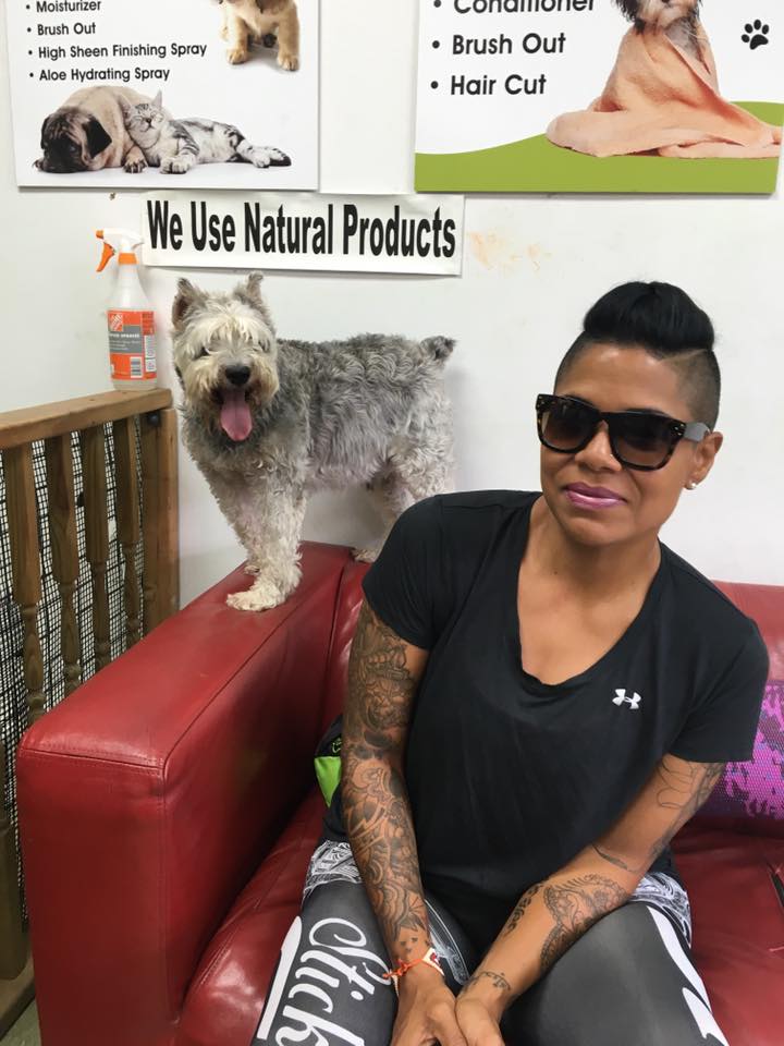 Photo of Pampered Pooch Place in Queens City, New York, United States - 9 Picture of Point of interest, Establishment