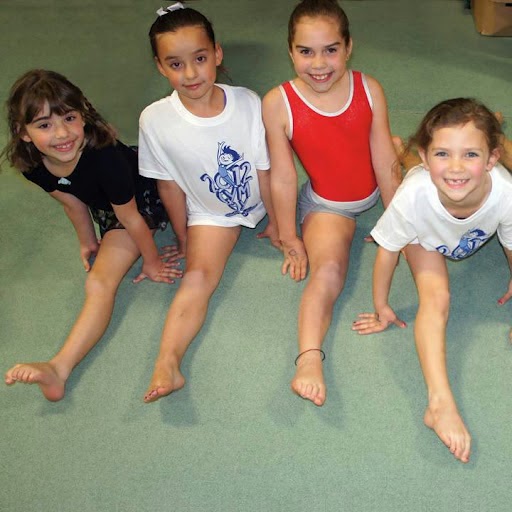 Photo of Elite Gymnastics in Hawthorne City, New Jersey, United States - 4 Picture of Point of interest, Establishment, Health, Gym