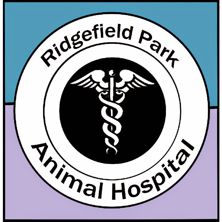 Photo of Ridgefield Park Animal Hospital in Ridgefield Park City, New Jersey, United States - 8 Picture of Food, Point of interest, Establishment, Store, Veterinary care