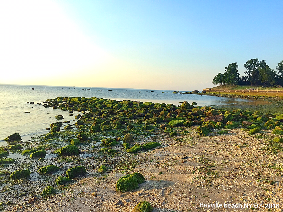 Photo of Bayville Beach in Bayville City, New York, United States - 3 Picture of Point of interest, Establishment, Lodging