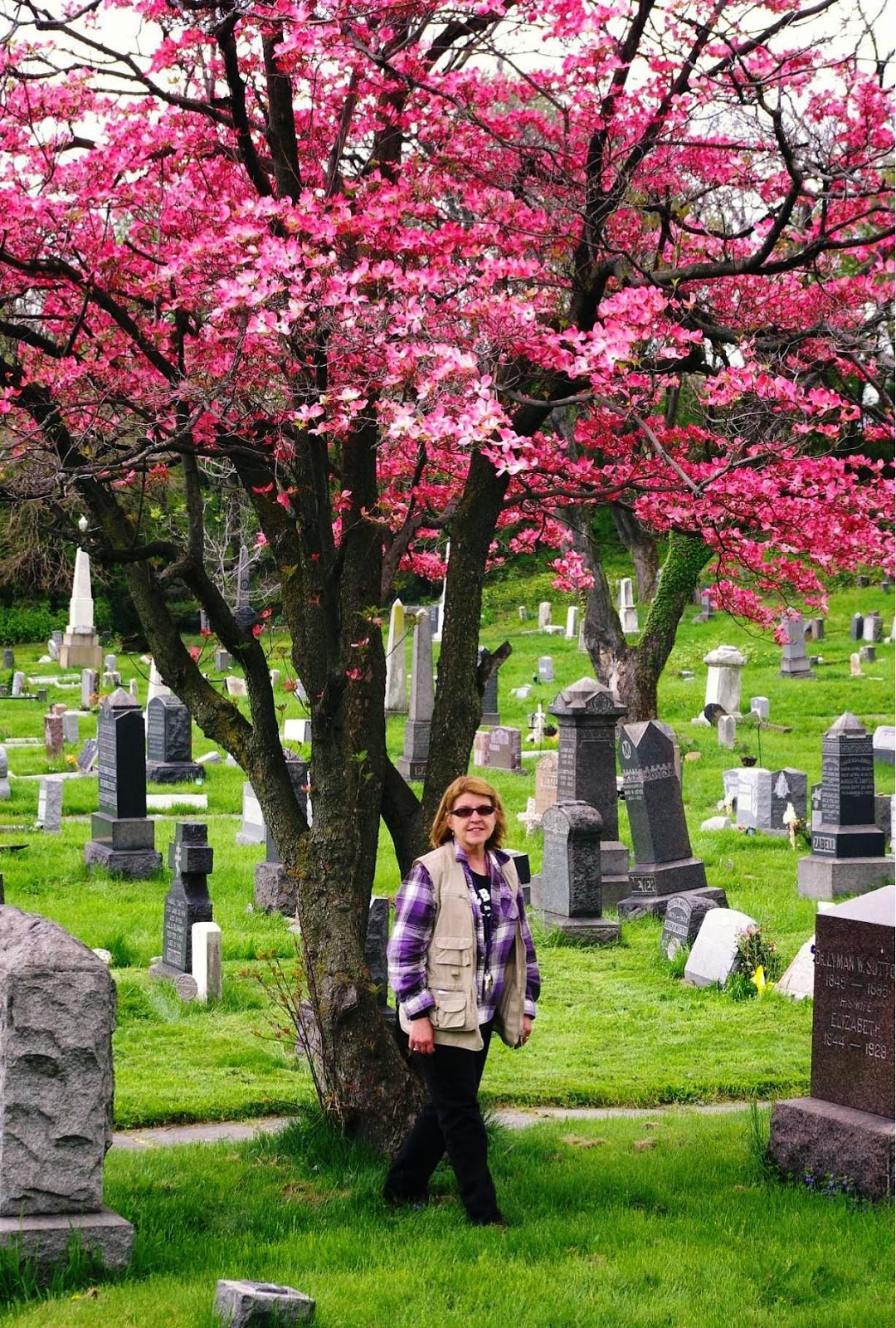 Photo of Historic Jersey City and Harsimus Cemetery in Jersey City, New Jersey, United States - 2 Picture of Point of interest, Establishment, Museum, Cemetery