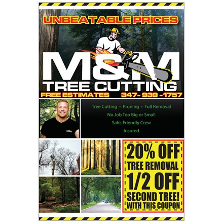 Photo of UNBEATABLE PRICED Tree Service, Bronx, Manhattan, NYC, Specializing In Large Tree Removal, Pruning in Bronx City, New York, United States - 2 Picture of Point of interest, Establishment
