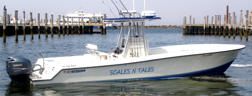 Photo of Scales N Tales Charter Boat Fishing in Highlands City, New Jersey, United States - 4 Picture of Point of interest, Establishment