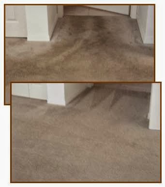 Photo of Carpet Cleaning Bayside NY in Bayside City, New York, United States - 3 Picture of Point of interest, Establishment, Laundry