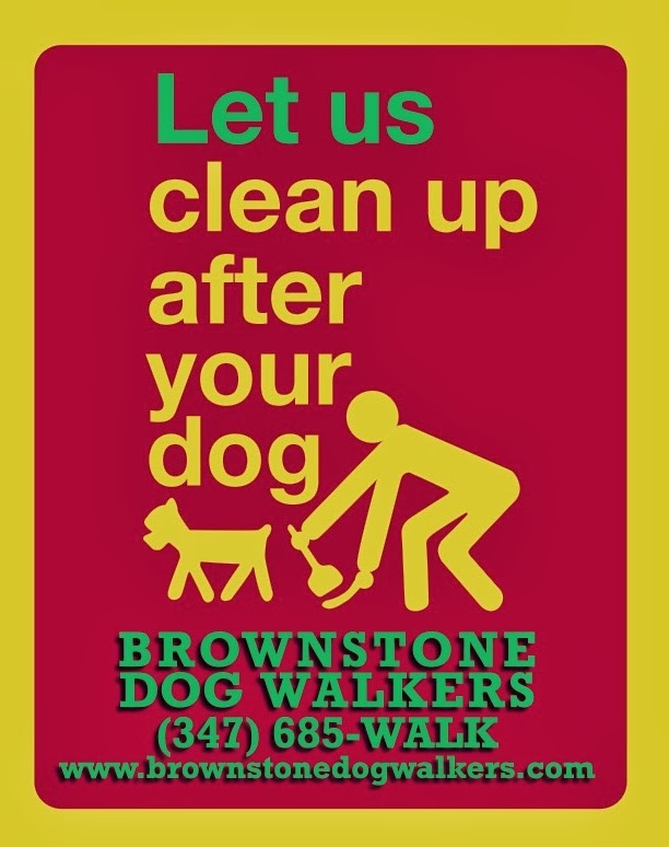 Photo of Brownstone Dog Walkers in Kings County City, New York, United States - 5 Picture of Point of interest, Establishment